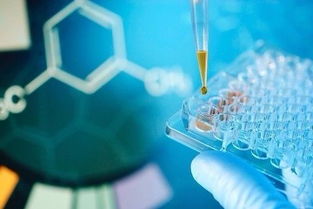 聚焦丨莫纳生物进驻东湖高新集团园区 打造生命科学研究领域著名品牌