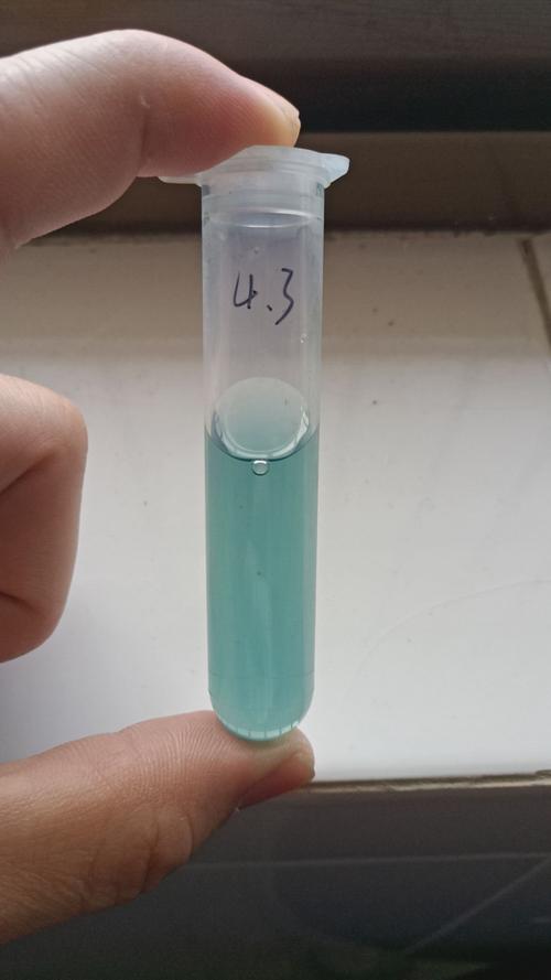 生物实验教师易任远